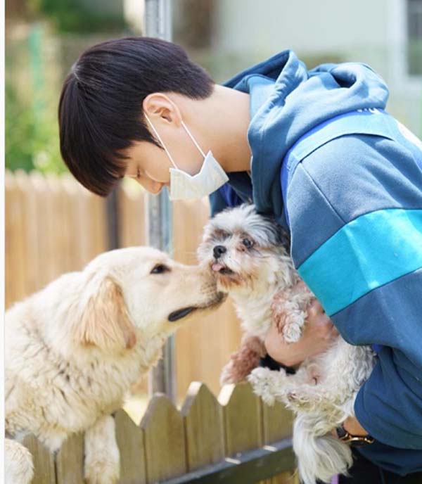 Lee Tae-Hwan playing with dogs.